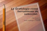 La Grafología como herramienta de selección. · PDF fileLa Grafología como herramienta de selección. Pilar Pizarro C Psicóloga Perito Grafólogo y Calígrafo