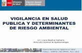 VIGILANCIA EN SALUD PUBLICA Y DETERMINANTES · PDF fileSistema Nacional de Vigilancia en Salud Pública – RENACE -DGE-MINSA , Perú -2013 VIGILANCIA EN SALUD ... •Vigilancia Comunal