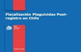 Fiscalización Plaguicidas Post- registro en Chile · PDF fileAplica plaguicida con nombre comercial que no es el autorizado. Aplica plaguicida sin EPP . ... Acciones del usuario frente