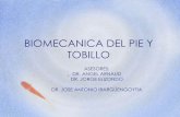 BIOMECANICA DEL PIE Y TOBILLO -  · PDF filebiomecanica del pie y tobillo asesores: dr. angel arnaud dr. jorge elizondo dr. jose antonio ibargÜengoytia