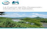 La Cuenca del Río Goascorán: Honduras y El Salvador · PDF filedades de Honduras y 13 de El Salvador. Las elevaciones más altas en la ... que alineara las acciones y ... los antecedentes