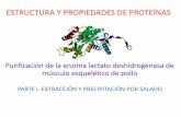 ESTRUCTURA Y PROPIEDADES DE PROTEÍNAS · PDF fileLa purificación de proteínas se lleva a cabo mediante métodos de fraccionamiento que están basados en las diversas propiedades