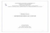 PRÁCTICA GENERADORES DE VAPOR · PDF filePROCEDIMIENTOS: El profesor explicará el procedimiento de la práctica y suministrará la ... y los perímetros de los tanques
