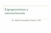 Lipoproteínas y aterosclerosis · PDF fileLa formación del ateroma se ha divido en dos fases. La fase inicialla cual comprende las etapas de la I a IV. Esta fase que se caracteriza