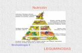 Nutrición - INGENIERIA AGROINDUSTRIAL | Agroindustria ... · PDF fileMaduración Frutas: ac. ascórbico ↓ en arvejas, banano, naranja carotenos ↑ tiamina ↑ Factores que influyen