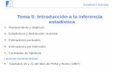 Tema 5: Introducción a la inferencia estadísticahalweb.uc3m.es/esp/Personal/personas/mwiper/docencia/Spanish/ccp… · Ejemplos En una muestra aleatoria de 100 votantes, 45 de ellos