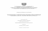 UNIVERSIDAD CATÓLICA ANDRÉS BELLO …biblioteca2.ucab.edu.ve/anexos/biblioteca/marc/texto/AAR1826.pdf · Gestionar a los Interesados 20 ... Metodología del PMBOK (2004) 28 ...