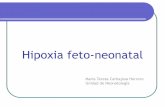 Hipoxia feto-neonatal - campus.usal.escampus.usal.es/~ogyp/Clases teoricas 2012 2013/Neonatologia/Hipoxi… · Hipoxia feto-neonatal Hipoxia: Disminución de O2 en los tejidos. Isquemia: