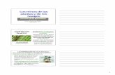 Los reinos de las plantas y de los hongos - Cniesrc's · PDF file1 Los reinos de las plantas y de los hongos Ciencias de la Naturaleza 1º de ESO Profesor: Francisco J. Barba Regidor