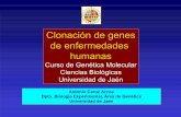 Clonacion genes enfermedades - Universidad de Jaén · PDF fileAutosómica dominante 3-9,5 Autosómica recesiva 2-2,5 Ligada al cromosoma X 0,5-2 Trastornos cromosómicos 6-9 Malformaciones
