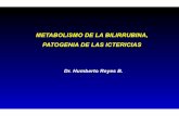 METABOLISMO DE LA BILIRRUBINA, PATOGENIA DE …semio-2012.wikispaces.com/file/view/metabolismo+bilirrubina+y... · METABOLISMO DE LA BILIRRUBINA, PATOGENIA DE LAS ICTERICIAS. ...