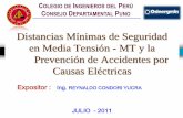 Gestión de Operaciones -  · PDF file• Norma Técnica Peruana NTP370.305.2003 ... Instalar andamios, estructuras, etc, cerca de líneas eléctricas para pintado de fachadas. 6