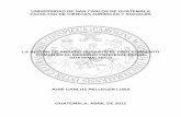 UNIVERSIDAD DE SAN CARLOS DE GUATEMALA FACULTAD DE ...biblioteca.oj.gob.gt/digitales/44816.pdf · Guatemala, abril de 2012 ... Titulado LA ACCrON DE AMPARO DURANTE EL PROCEDIMIENTO