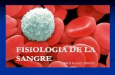 FISIOLOGIA DE LA SANGRE - Dr. RAFAEL PORCILE | Blog de ... · PDF fileLa adhesión de las células hemopoyéticas al microambiente está mediada ... Generalidades de la Sangre . ...