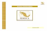 RETOS DEL CATASTRO EN MÉXICO - · PDF fileposibilitando la concentración operativa Catastral hacia los Municipios. Paralelamente diversas instituciones (SEDESOL, BANOBRAS, INEGI,