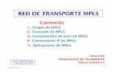 RED DE TRANSPORTE MPLS - · PDF fileEvolución de IP/ATM hacia MPLS Los problemas de IP/ATM, derivados de la gestión de 2 redes diferentes, motivaron a los fabricantes a estandarizar
