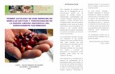 cartilla catalogaci+ n de semillas para pdf-1colombia.redsemillas.org/wp-content/uploads/2013/01/cartilla... · llegada!de!los!Españoles!y!se!adapto! ... alimento! de! cuyes! y!