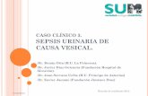 CASO CLÍNICO 3. SEPSIS URINARIA DE CAUSA VESICAL.uromadrid.es/pdf/La-vejiga-critica-cistitis-enfisematosa-SUM-17oct... · probabilidad de sepsis < 1 -2% ... caracterisiticas y evoluciíon