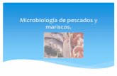 Microbiología de pescados y mariscos. - sgpwe.izt.uam.mxsgpwe.izt.uam.mx/.../Microbiologia_de_los_pescados_y_sus_produ.pdf · Composición química porcentual aproximada de pescados