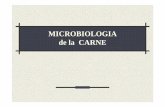 MICROBIOLOGIA de la CARNE · PDF fileMICROBIOLOGIA de la CARNE. Alteracción microbiana Los microorganismos que alteran la carne ... Equipos y utensilios ( en forma de Biofilms) Son