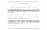 COSTOS ESTÁNDAR-ABC PARA LA INDUSTRIA DE …sisbib.unmsm.edu.pe/bibvirtualdata/tesis/empre/carrión_n_j/cap_7.pdf · de fabricacion fijos costos indirectos fabricacion variables