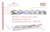 Plan Anual de Seguridad Ciudadana 2016 - · PDF fileCOMITÉ DISTRITAL DE SEGURIDAD CIUDADANA CHAUPIMARCA - PASCO. ... • El Director General de la Policía Nacional del ... en el