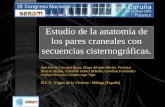 Estudio de la anatomía de los pares craneales conseram2010.seram.es/modules/posters/files/pares_craneales.pdf · Estudio de la anatomía de los pares craneales con secuencias cisternográficas.