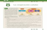 portada biologia II 2009:Maquetación 1 · PDF file224 1. El ciclo del carbono, desde el interior de la célula La energía proporcionada por los procesos catabólicos es necesaria