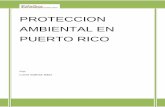 Protección Ambiental en Puerto Rico - Recinto Metrokalathos.metro.inter.edu/Num_9/Proteccion Ambiental en PR.pdf · gubernamentales el daño al medio ambiente va en ascenso y grandes