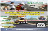 CURSO EN - CACP Perú | Corporación de Asesoramiento y ... · PDF fileDiseño de defensas ribereñas para puentes. Ensayos de laboratorio de mecánica de suelos aplicado a puentes.