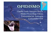 Claudia Lucía Arroyave Hoyos Médica Toxicóloga Clínica ... · PDF file•Necrosis o síndrome compartimental. ... •Manitol en caso de síndrome compartimental Otero. R., 2005.