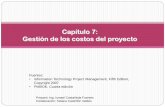 Capítulo 7: Gestión de los costos del proyectodis.unal.edu.co/~icasta/GGP/_Ver_2011_2/2011_2_GGP... · Determinar el presupuesto de costos: sumar los costos estimados de actividades