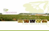 El sabor tradicional de Andalucía - Aceitunas y · PDF fileNuestros productos: ENCURTIDOS Encurtidos varios Su sabor se realza y adquiere una acidez especial gracias al vinagre y
