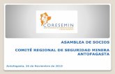 ASAMBLEA DE SOCIOS COMITÉ REGIONAL DE …coreseminregionantofagasta.cl/v2/wp-content/uploads/2016/11/7.-As... · Actualmente cuentan con programa de Acuñadura y buenas prácticas
