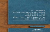 Dilemas Contemporáneos sobre el Ejercicio de la Abogacía ...abaroli.mx/wp-content/uploads/2015/08/Dilemas-Contemporaneos... · la transformaciÓn del papel del abogado defensor