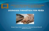 ZOONOSIS PARASÍTICA POR PECES - …congresos.fmvz.unam.mx/acua/pdf/2015/memorias/Sala 1/27 Nov... · (Lom, 2002) descritas en músculos ... Plaguicidas Metales Toxinas pesados Acuicultura