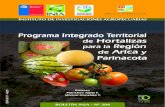 Programa integrado territorial de hortalizas para la ... · PDF fileimplica el uso de estos plaguicidas para el ambiente, y la salud de productores y consumidores. ... Cherry Bomb