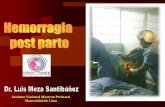 Instituto Nacional Materno Perinatal Maternidad de Lima · PDF filesi la placenta se encuentra adherida por más de ... RETENCION PLACENTARIA EN EL INSTITUTO MATERNO PERINATAL AÑO