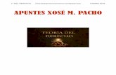APUNTES XOSÉ M. PACHO -  · PDF fileTª DEL DERECHO   RAMÓN RUIZ APUNTES XOSÉ M. PACHO