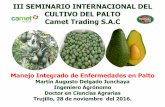 III SEMINARIO INTERNACIONAL DEL CULTIVO DEL …cametrading.com/.../8-manejo-integrado-de-plagas-en-palto.pdf · Manejo Integrado de Enfermedades en Plantas Control Cultural Agroecosistema