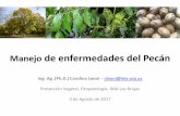 Manejo de enfermedades del Pecán - inia.uy blicos/INIA Las Brujas... · PDF file• Conceptos básicos sobre manejo de enfermedades de plantas • Principal enfermedad en Uruguay:
