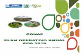 Guatemala, Centro América, abril 2015168.234.196.99/Documentos/2016/ART10/5/POA 2016.pdf · PNUMA Programa de las Naciones Unidad para el Medio Ambiente ... USAC Universidad de San
