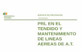 24/10/2016 PRL EN EL TENDIDO Y MANTENIMIENTO DE LINEAS ... · PDF filede lineas aereas de a.t. ... centro de transformacion linea distribucion 3ª categoria linea transporte ... empresa