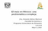 El maíz en México: una problemática compleja … · ETANOL: El detonante del problema o crónica de un desastre anunciado