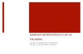 ANÁLISIS MORFOLÓGICO DE LA PALABRA -  lisis... · PDF fileANÁLISIS MORFOLÓGICO DE LA PALABRA. Lengua Castellana y Literatura. IES DR. LLUÍS SIMARRO. XÀTIVA