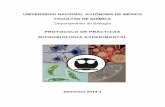 PROTOCOLO DE PRÁCTICAS MICROBIOLOGÍA …depa.fquim.unam.mx/amyd/archivero/Protocolos2014_1_24195.pdf · ESTUDIO MICROSCÓPICO Y CULTIVO DE HONGOS . ... laboratorio y aquellas que