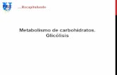 Presentación de PowerPoint · PDF fileMetabolismo de carbohidratos. Glicólisis . ... Cadena de transporte de electrones y Fostorilación Oxidativa Es el paso final del metabolismo