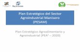 Plan Estratégico del Sector Agroindustrial Manisero (PESAM) · PDF file•Gasoducto Manisero •Mejoramiento de la Ruta 10 •Creciente demanda en China, India, EEUU y la ... Promover