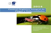 Control Orgánico Integral de Plagas y Enfermedades · PDF fileControl de plagas y enfermedades de las plantas Las plagas, las enfermedades de las plantas y las yerbas pueden ser una