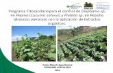 Programa de fertilizacion en el cultivo de pepino CENTA/05- Programa... · Los extractos de cebolla morada, ajo, cebollín y canela, ... Al utilizar bocashi en el cultivo se ahorra